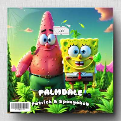 🎶 Patrick &amp; Spongebob - Palmdale 🎶
