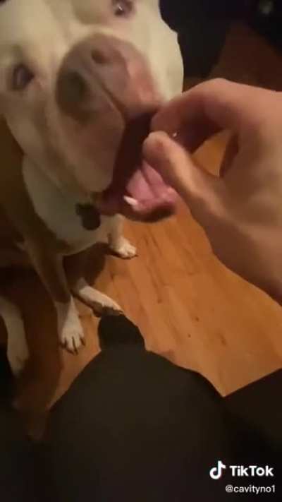 Bamboozled challenge