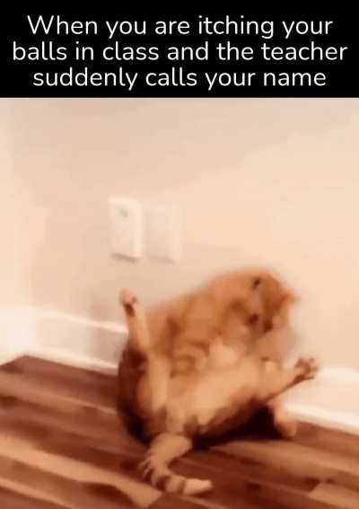 And everyone gives you THAT look.