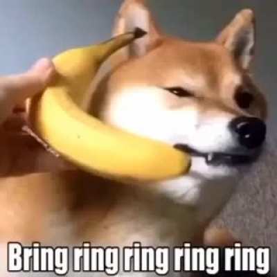 Banana phone :D