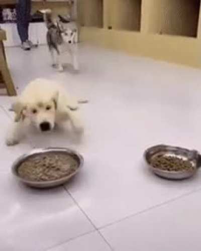 Greedy bastard.