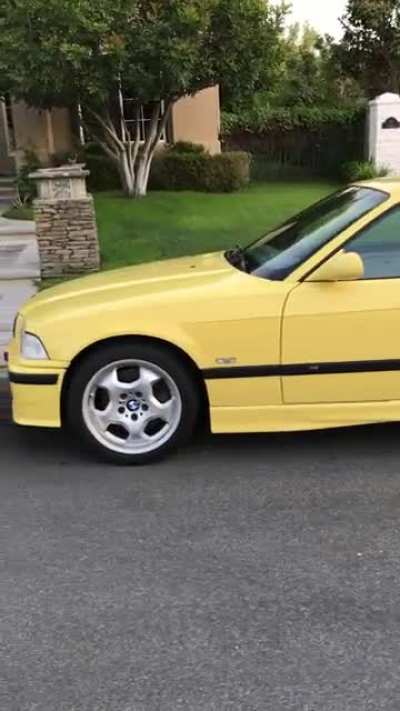 My old collection of every N/A M3