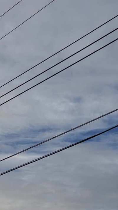 Caught on 12.11.20 - 3:15 PM