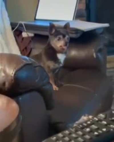 Aaaaaaa