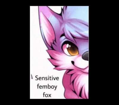 I have 2 sides 🐺🚧⛲🎖️💵🗜️⌚🛑☑️🇬🇵🙍🌚🍕