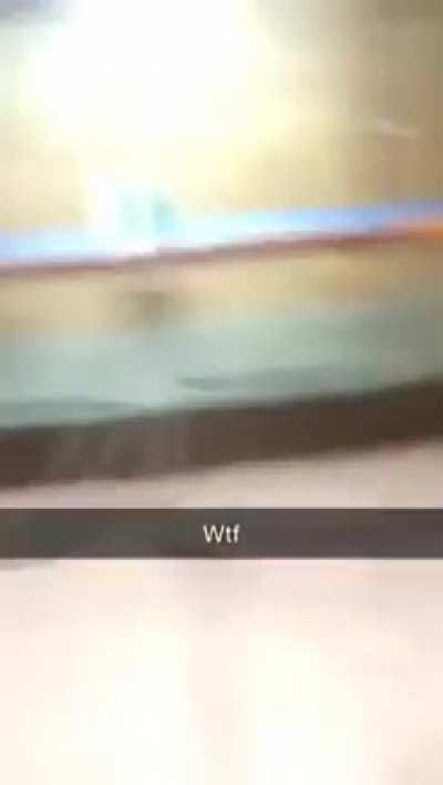 Kid throws ping pong paddle at his brother