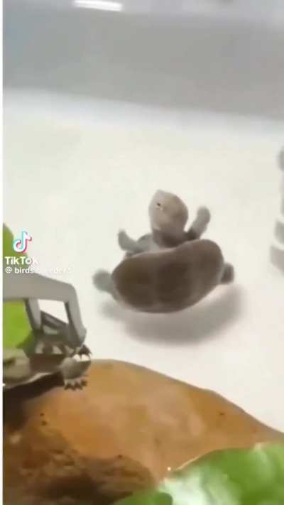 Smooth 