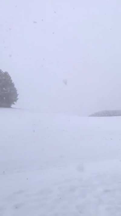 This was Biei, Japan, earlier this morning.
It&rsquo;s snowing like crazy.. and it&rsquo;s only mid-November! What happened to autumn?