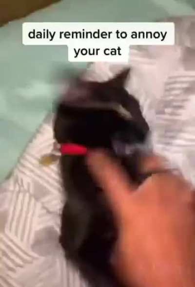Gato (rule)