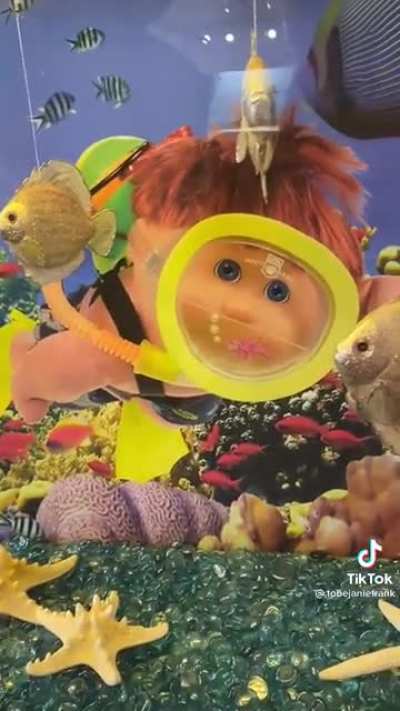 Cabbage patch