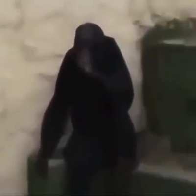 El admin cuando se tapa la cam