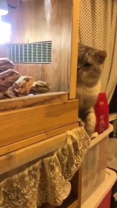 to be sneaky