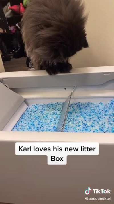 Karl&rsquo;s lil furry face is sending me into orbit