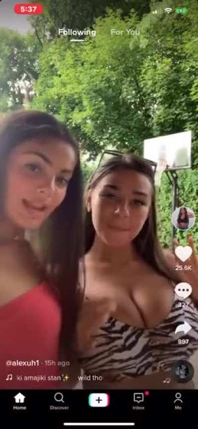 They look bigger here