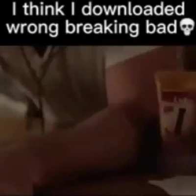 Why is whenthe saying we&rsquo;re zoophiles now