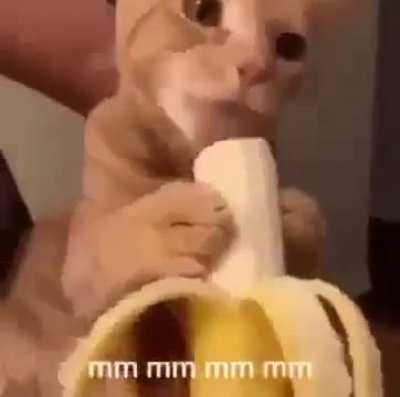 Give me karma