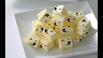Budderdoge
