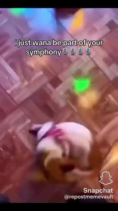 Symphony