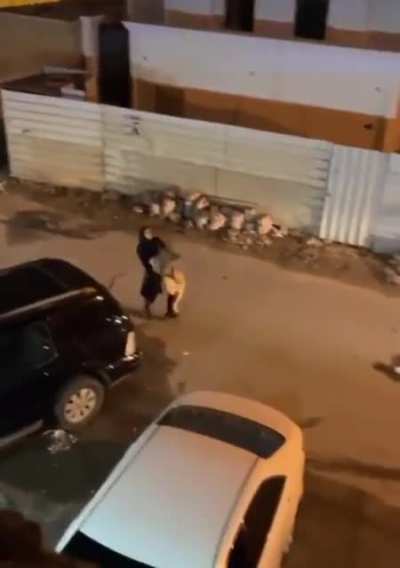 Lady's pet lion gets out and she carries it home like a house cat...