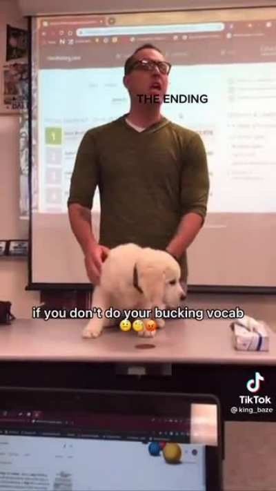 Bucking vocab