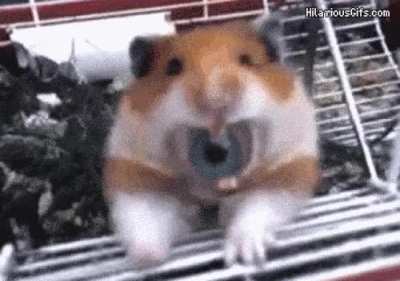 Eyemster, the Sight from Within