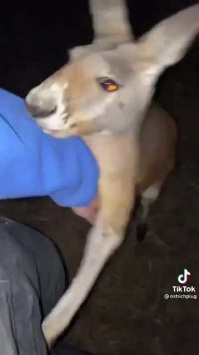 Why yes,I do believe that is Kevin