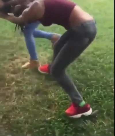 front lawn fracas