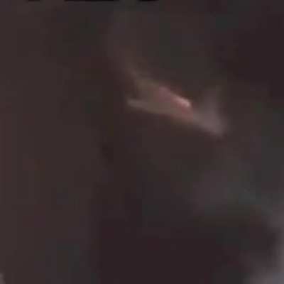 Fly
