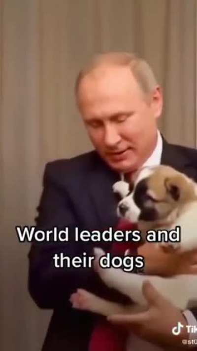 i love my dog