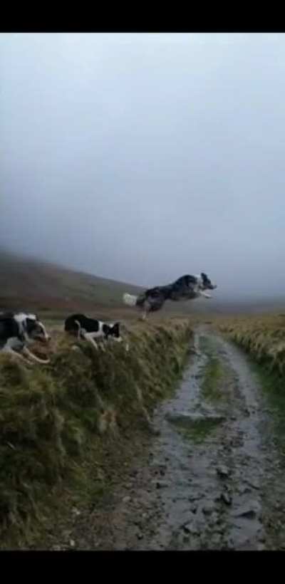 three ways to tackle a jump