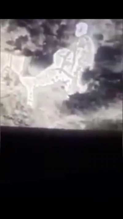 Şerefsiz K&uuml;rt asdasdaıds