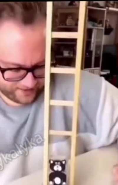O t&iacute;tulo foi comprar um gato