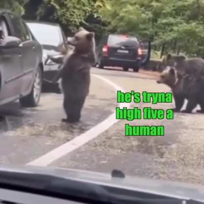 Hey bro..high five