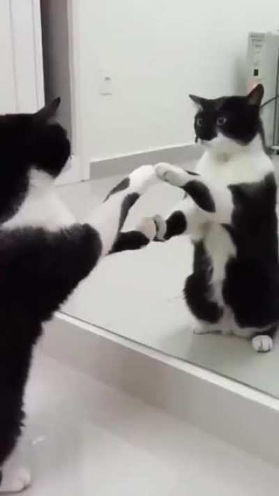 Adorable.