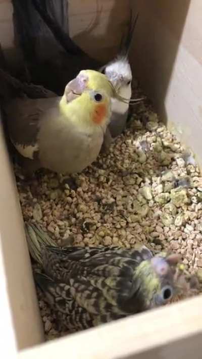 Full delivery room