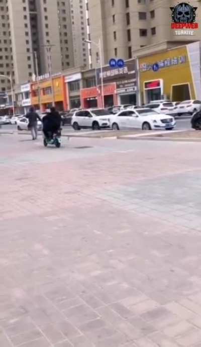 Eğitim g&ouml;rm&uuml;ş hırsız kuş