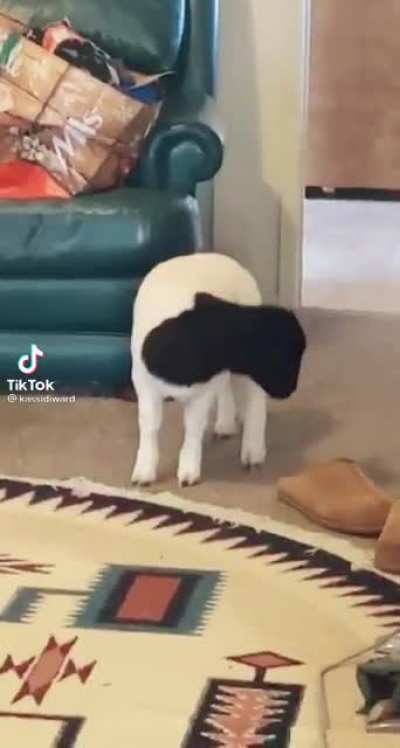 BAAAAAAAA