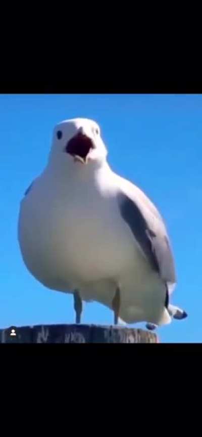 Scream for help