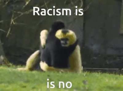 cool monke