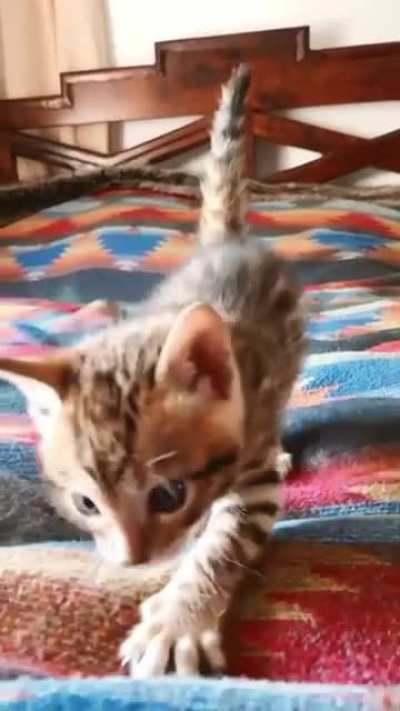 She is so little and so cute 🥰