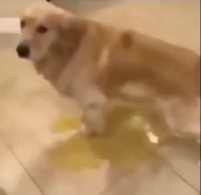 Maa-