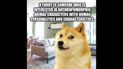 Are you a furry?