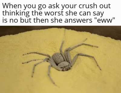 I have decided that I want to die