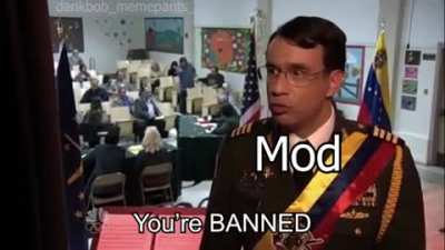 Mods are gay