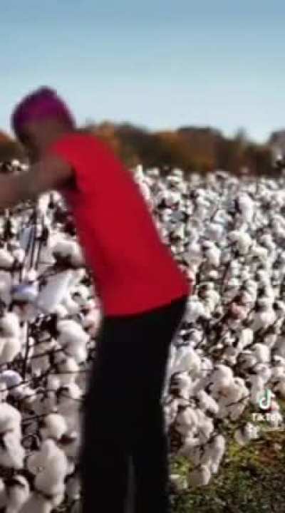 "House niggas don't get the metal whip"