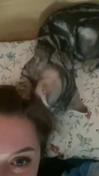 Little one loves nothing more than chomp on my or my wife&rsquo;s hair when we&rsquo;re trying to get some sleep