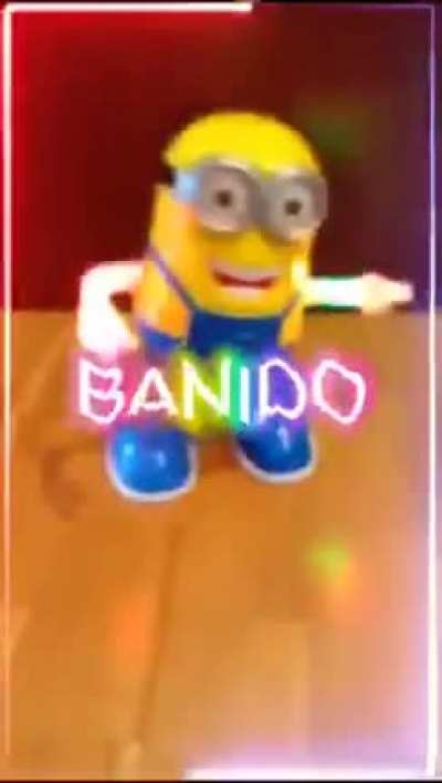 sdasdas