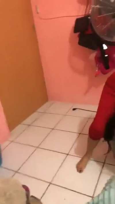 &ldquo;Parecen perras&rdquo;