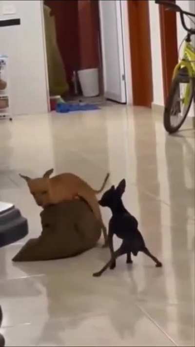 What it looks like to be the third wheel at the hot, new dance club