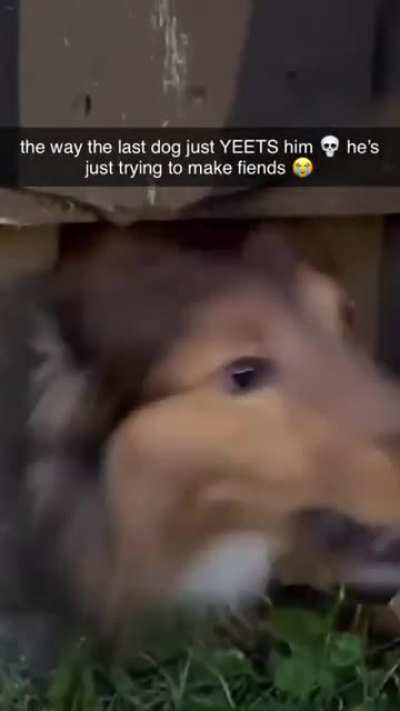 YEET